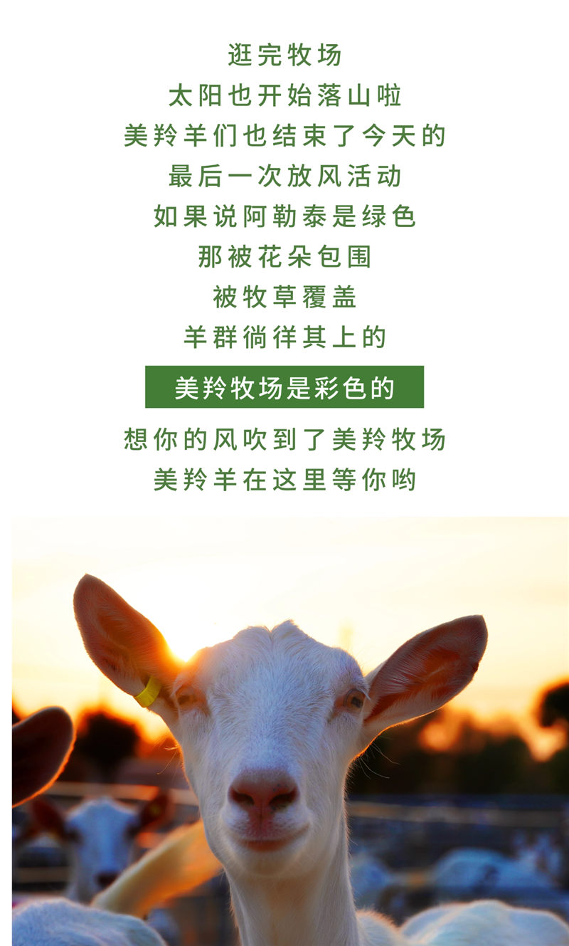 稿定設(shè)計-10.jpg