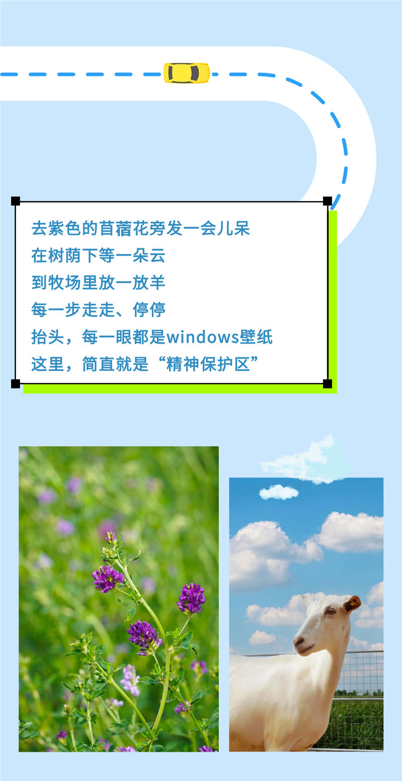 稿定設(shè)計-3.jpg